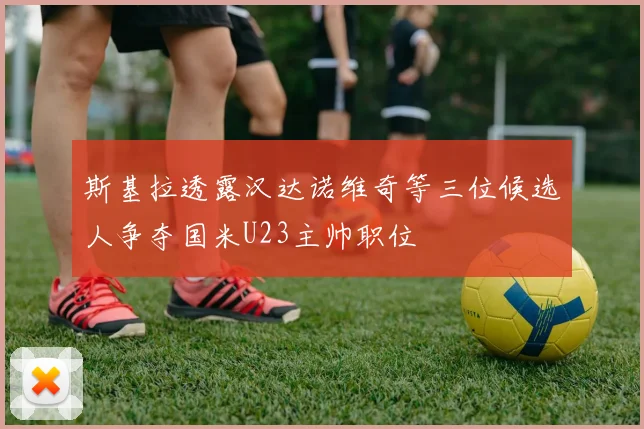 斯基拉透露汉达诺维奇等三位候选人争夺国米U23主帅职位